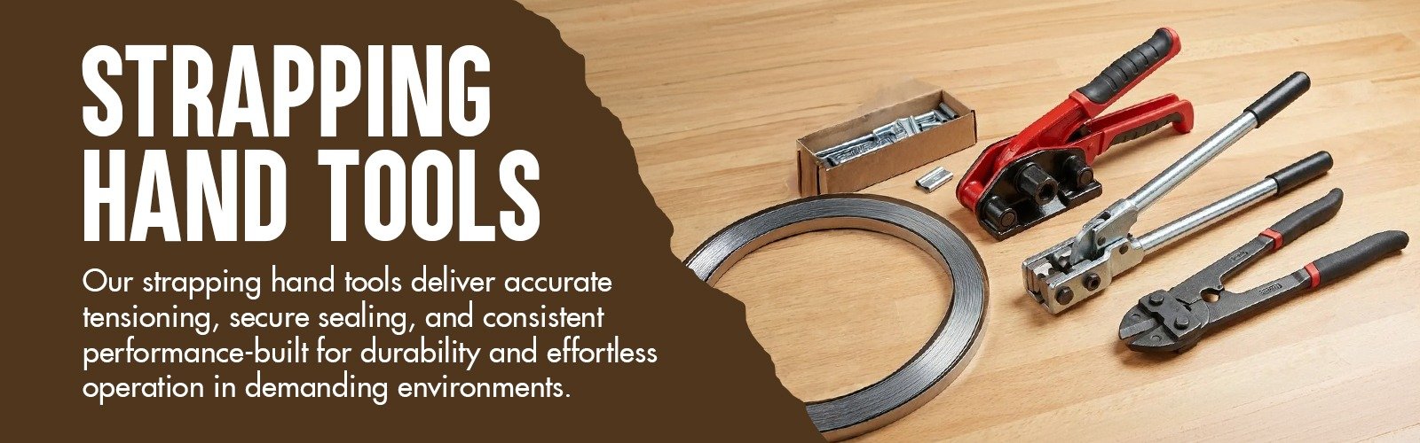 WhatsApp Image 2026-02-11 at 5.58.40 PM